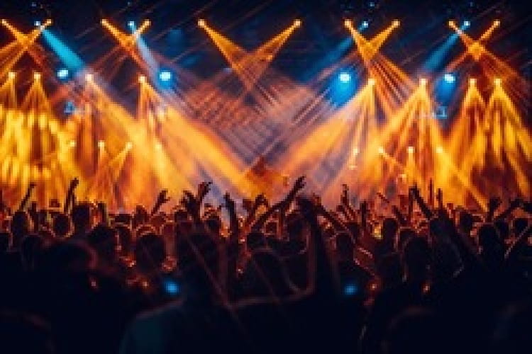 Concert goers with lights